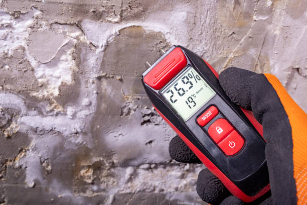 Best Attic Mold Removal  in Waverly, VA