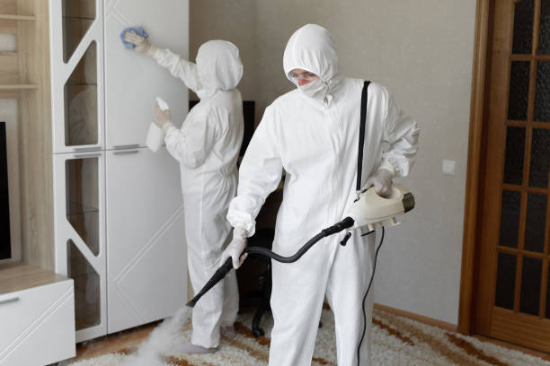 Attic Mold Removal in Waverly, VA